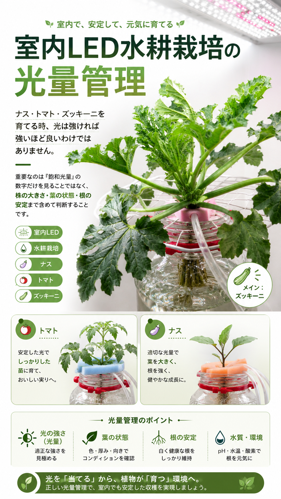 室内LED水耕栽培の光量管理